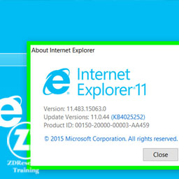 Internet explorer version detection & ROP genration